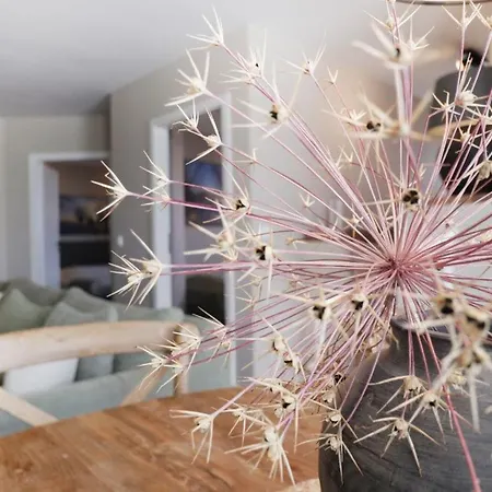 Apartmán Kastanienhof Whg 11 *